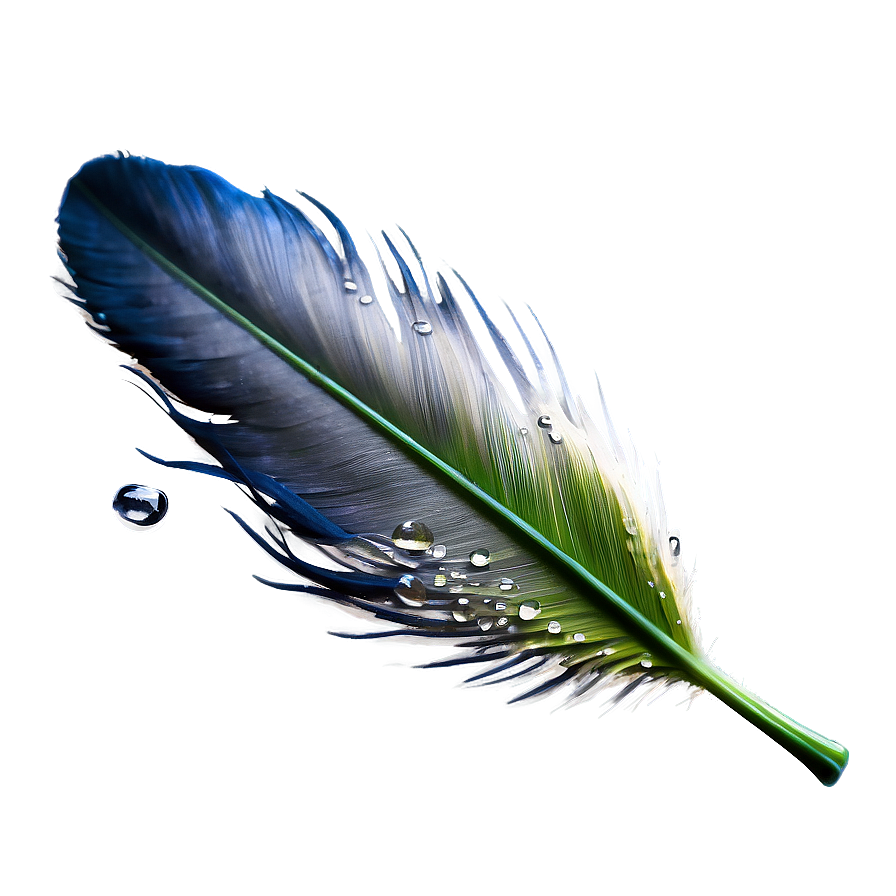 Feather With Dew Drops Png Vep12 PNG