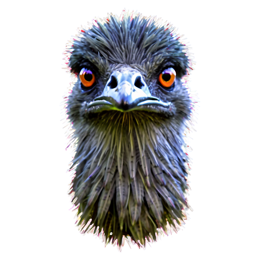 Feathered Emu Png 06252024 PNG