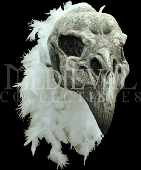 Feathered Skull Artifact PNG
