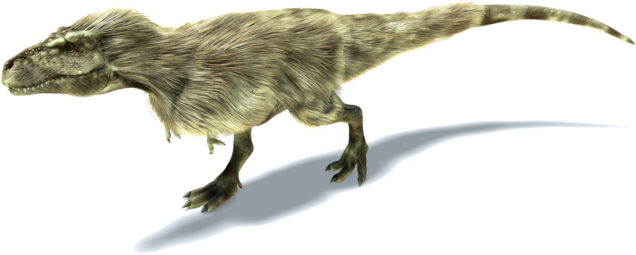 Feathered Tyrannosaurus Rex Illustration PNG