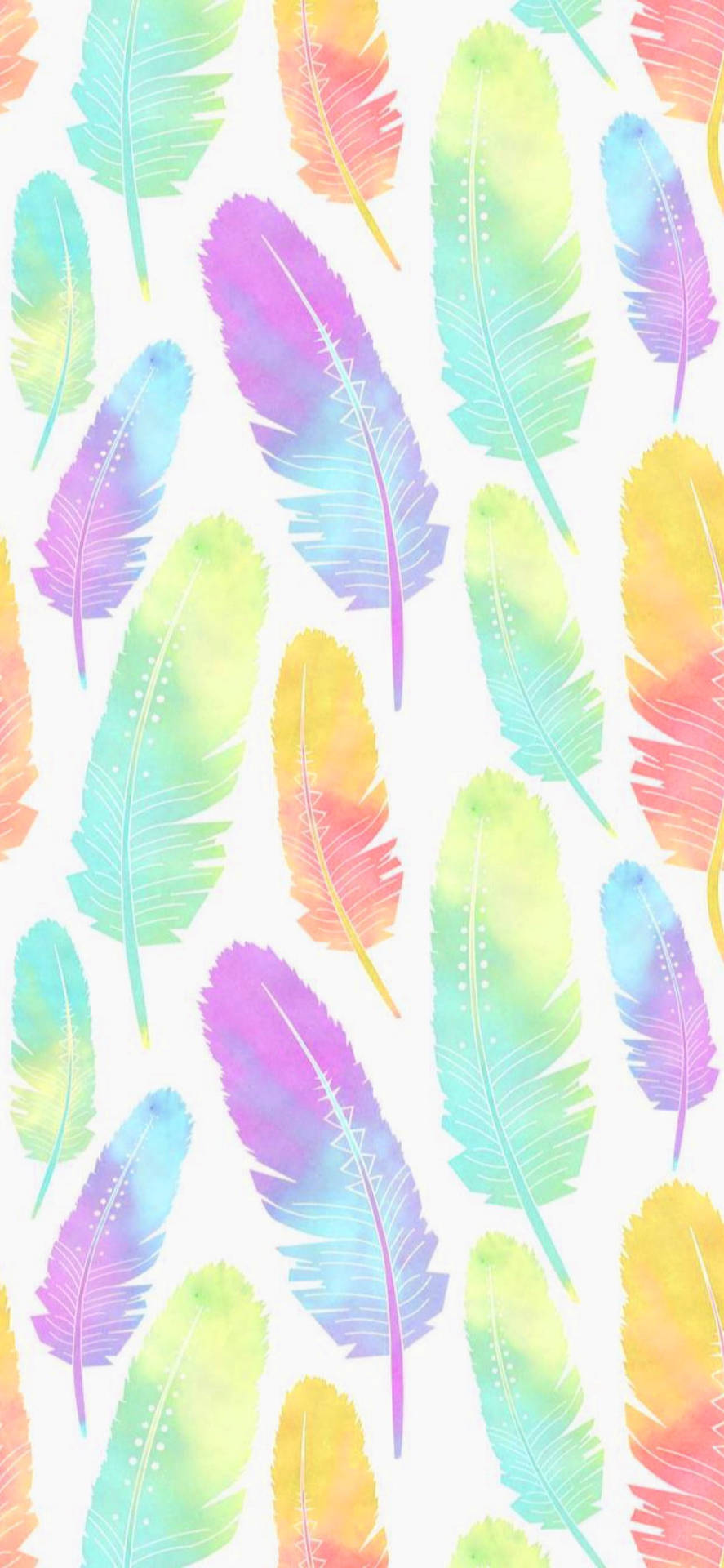 Feathers Cute Pastel Colors Wallpaper