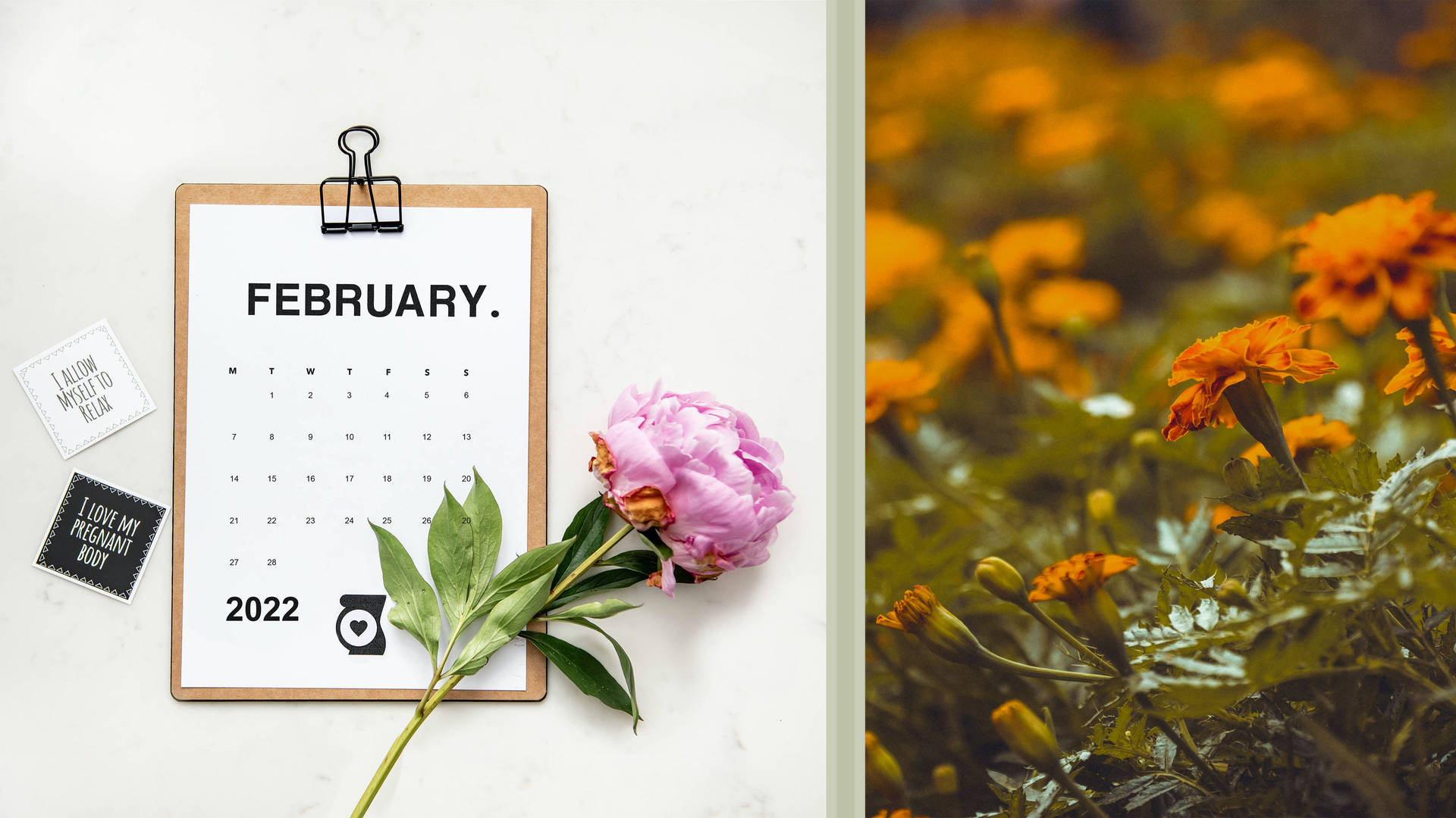 February 2022 Marigold Flower Calendar Wallpaper