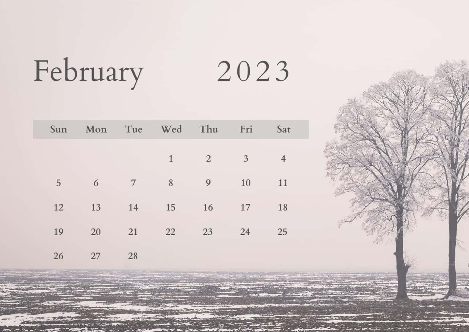 February 2023 Calendar With Trees In The Snow Wallpaper