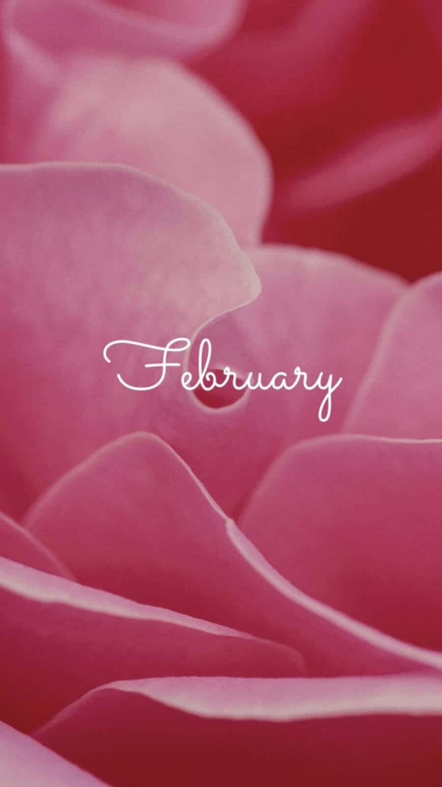 Cozy February iPhone Wallpaper with Seasonal Elements in a Whimsical Design Wallpaper