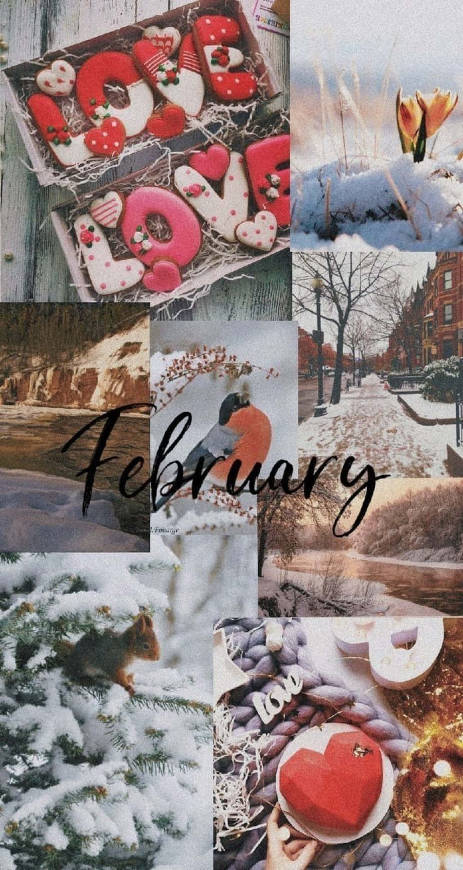 February iPhone Wallpaper with Calendar Wallpaper