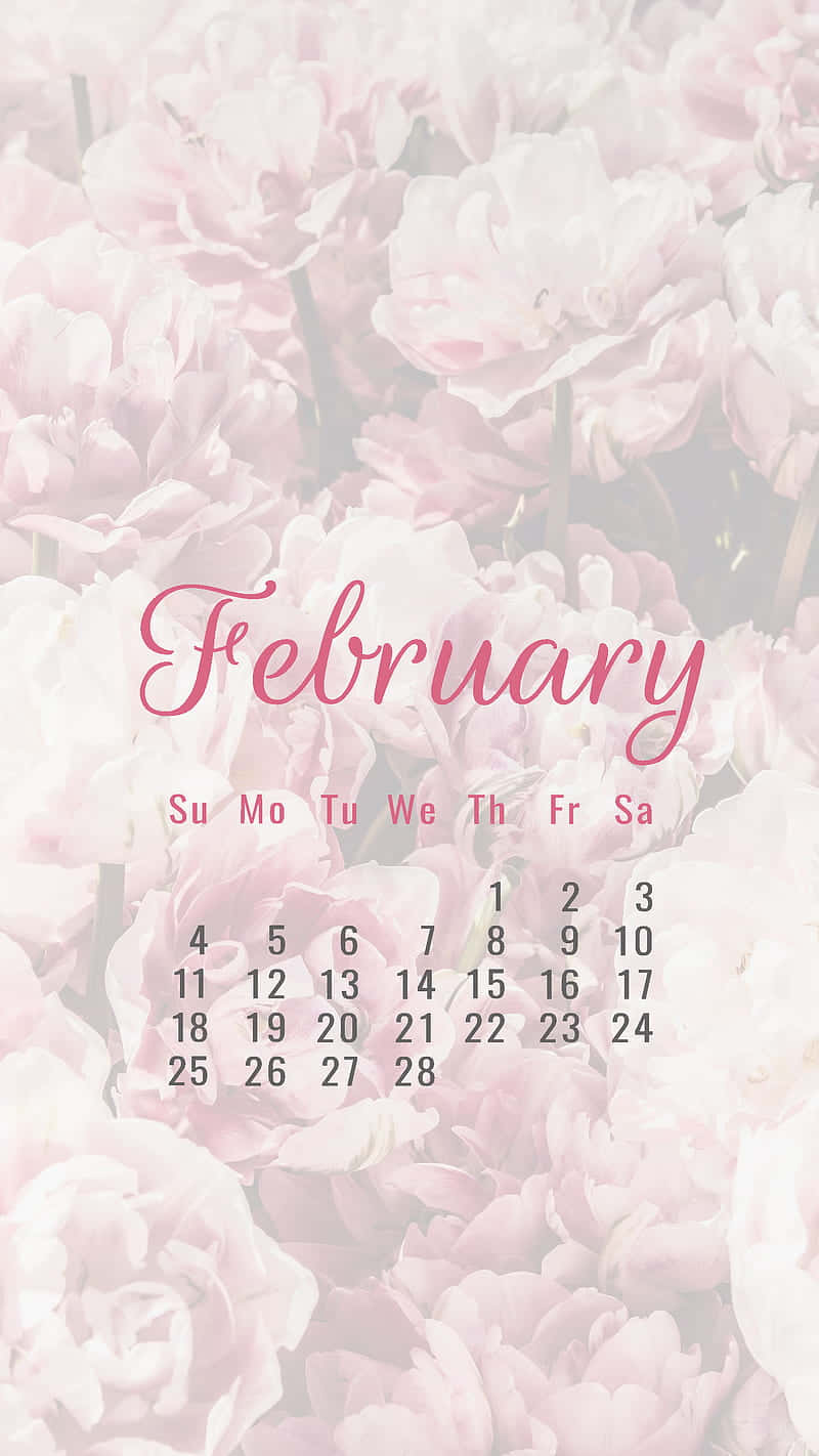 February Pink Floral Calendar Background Wallpaper