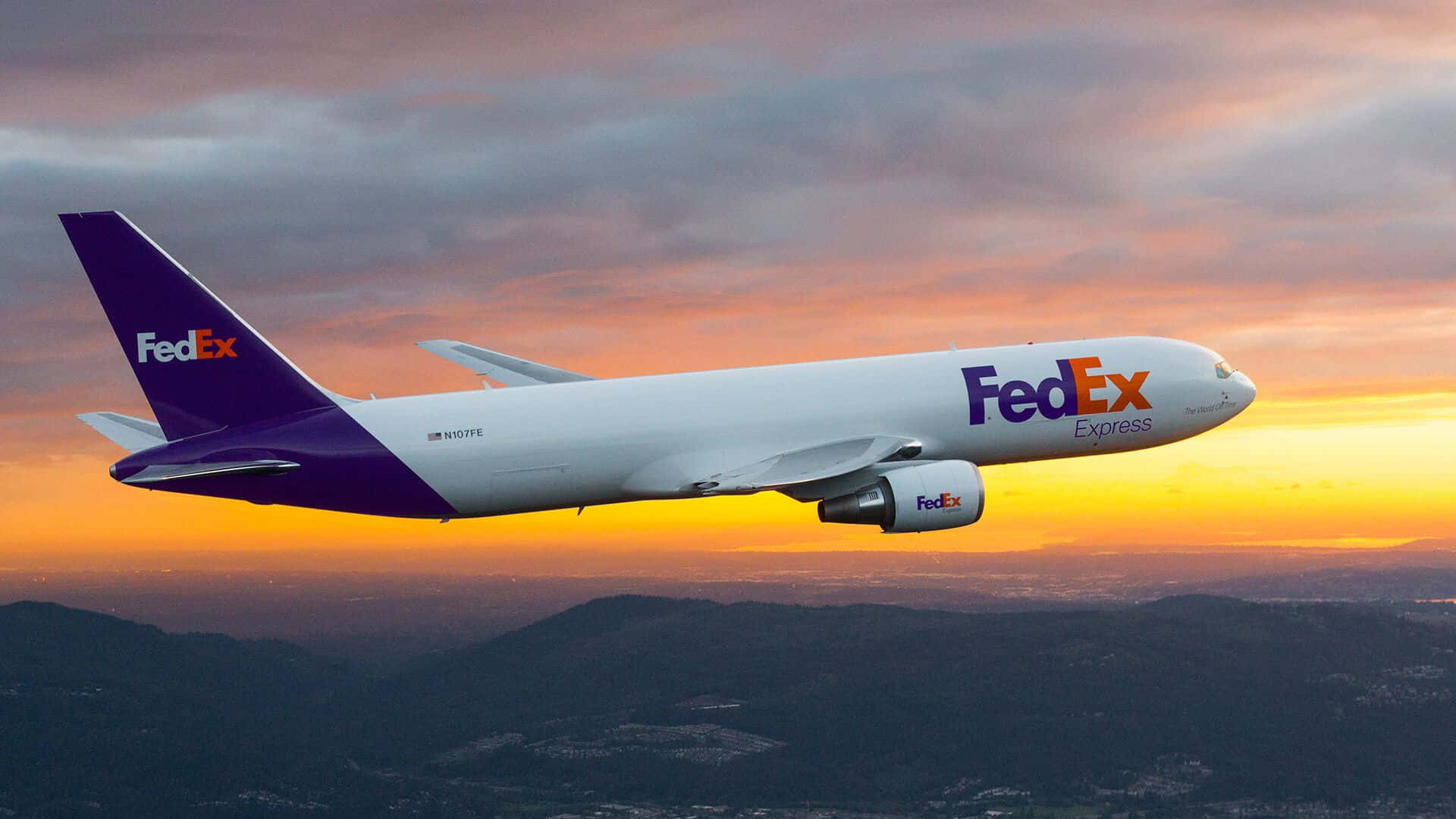 "Efficient and Reliable Delivery with FedEx"