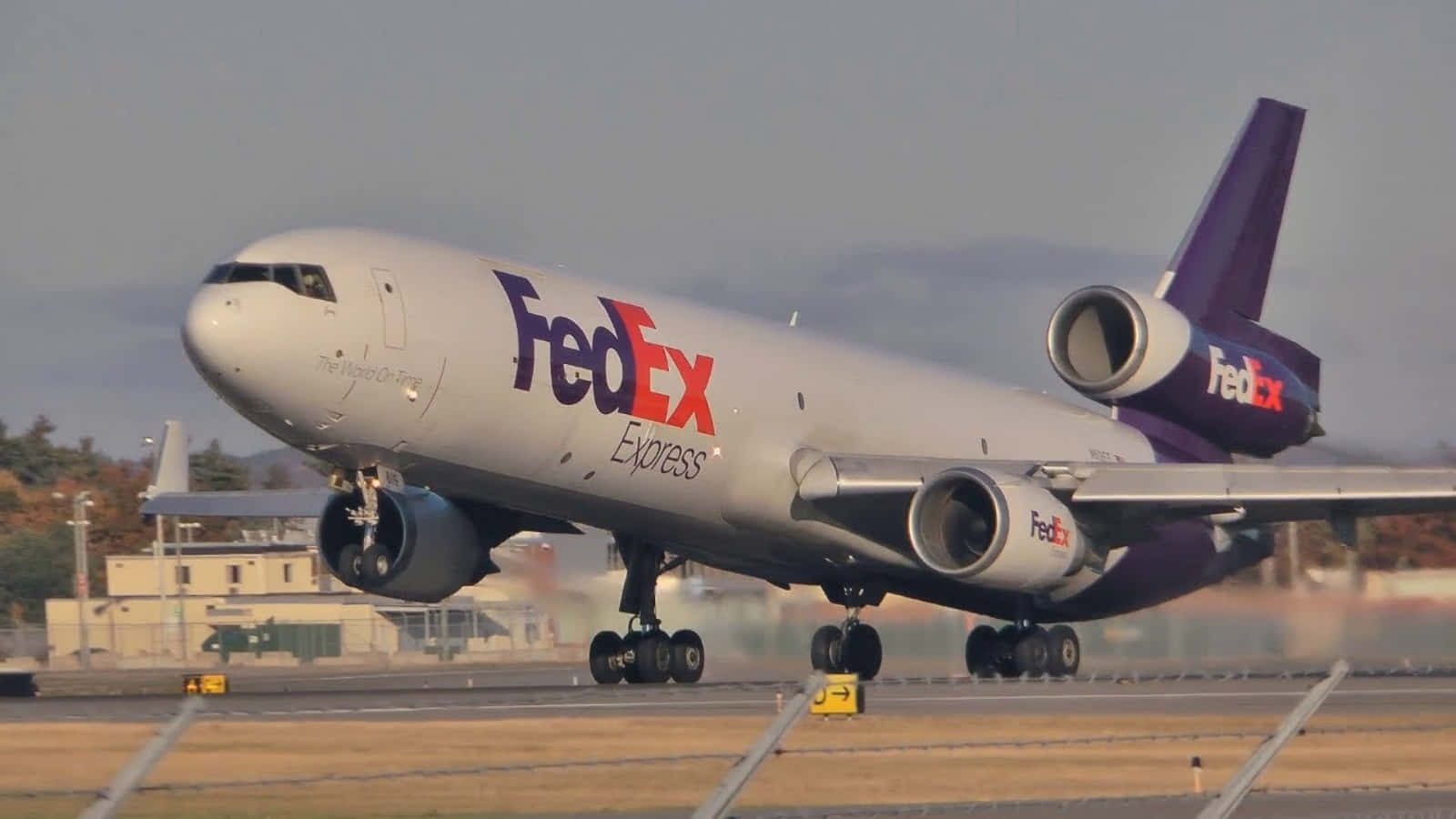 Delivering the reliability and trust of FedEx around the world.