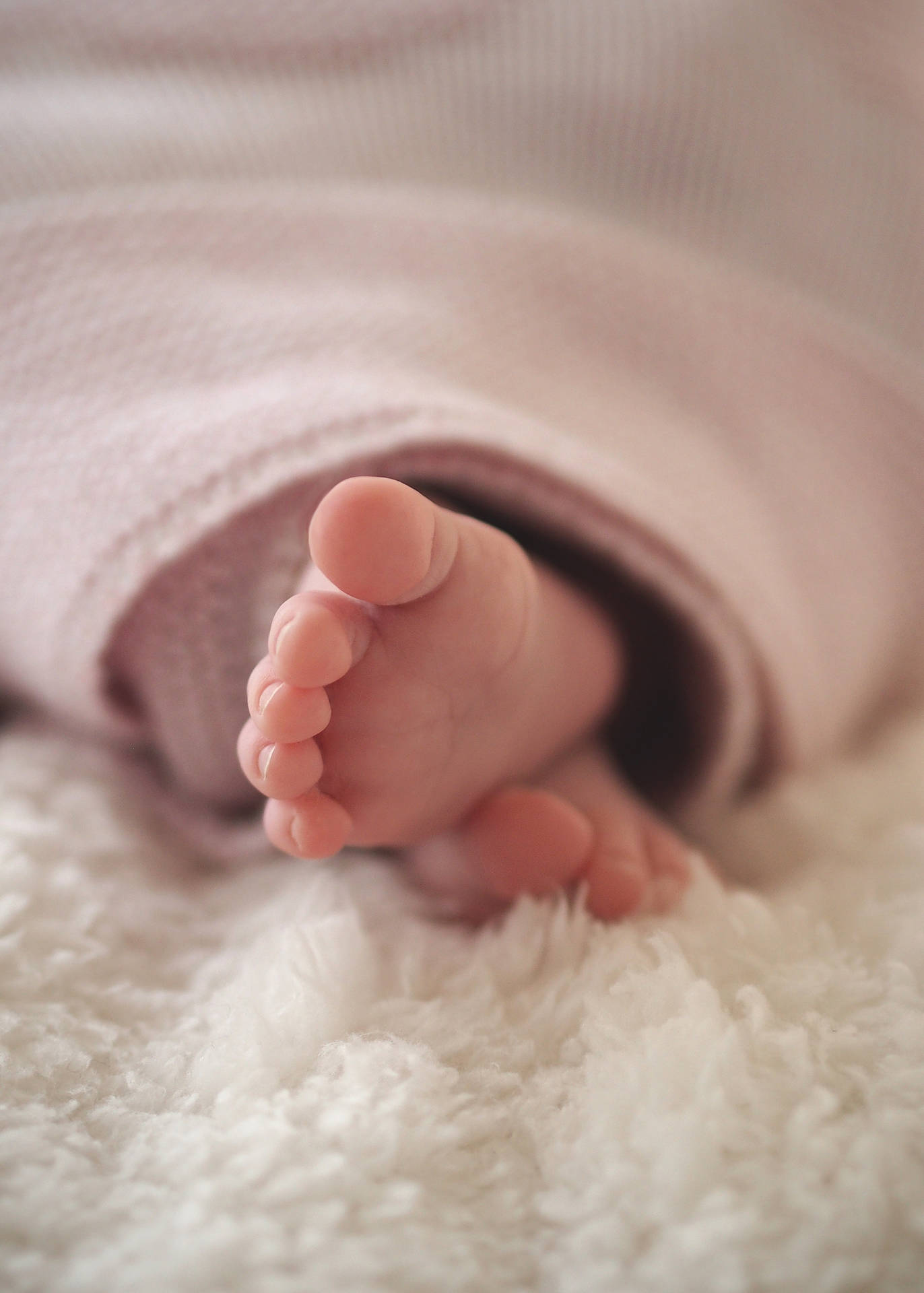 Feet Of A Child On Fur Wallpaper