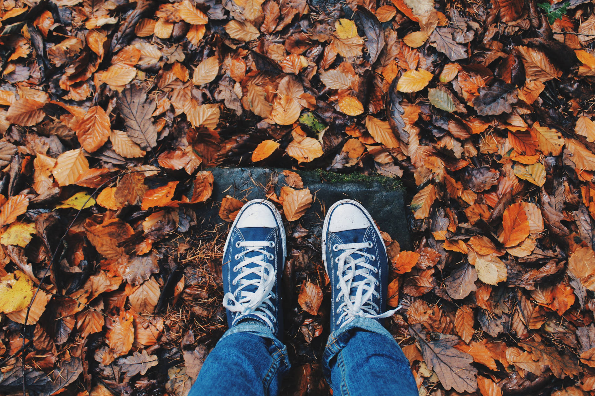 Feet On Pile Of Dried Leaves Wallpaper
