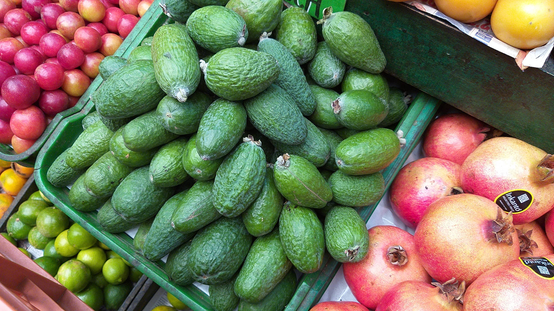 Feijoa,una Fruta En Colombia Fondo de pantalla