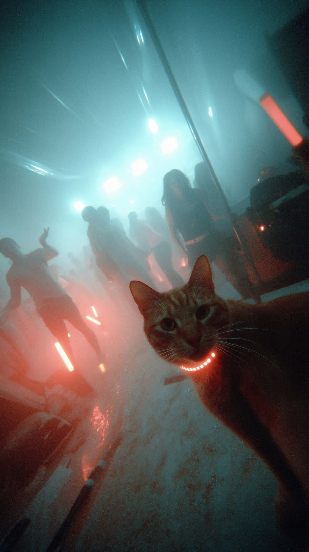 Feline At A Lively Event With Glowing Collar And Silhouettes Wallpaper