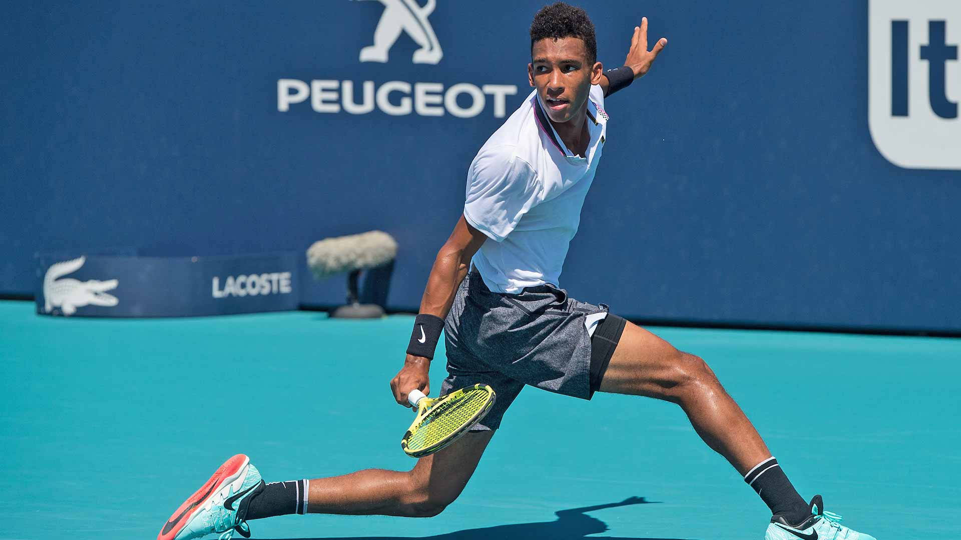 Felix Auger-Aliassime looking over his shoulder on the tennis court Wallpaper