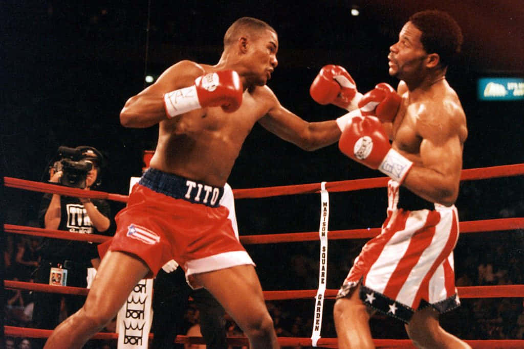 Felix Trinidad In Red Boxing Gloves Wallpaper