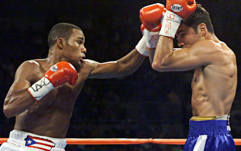 Felix Trinidad Punching The Other Player Wallpaper