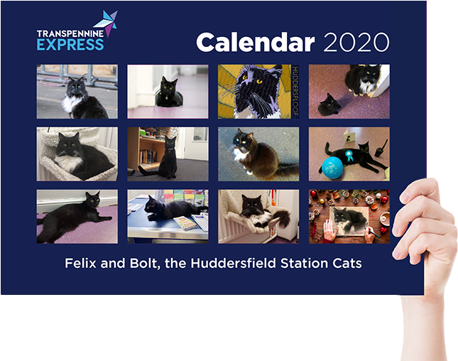 Felixand Bolt2020 Calendar PNG