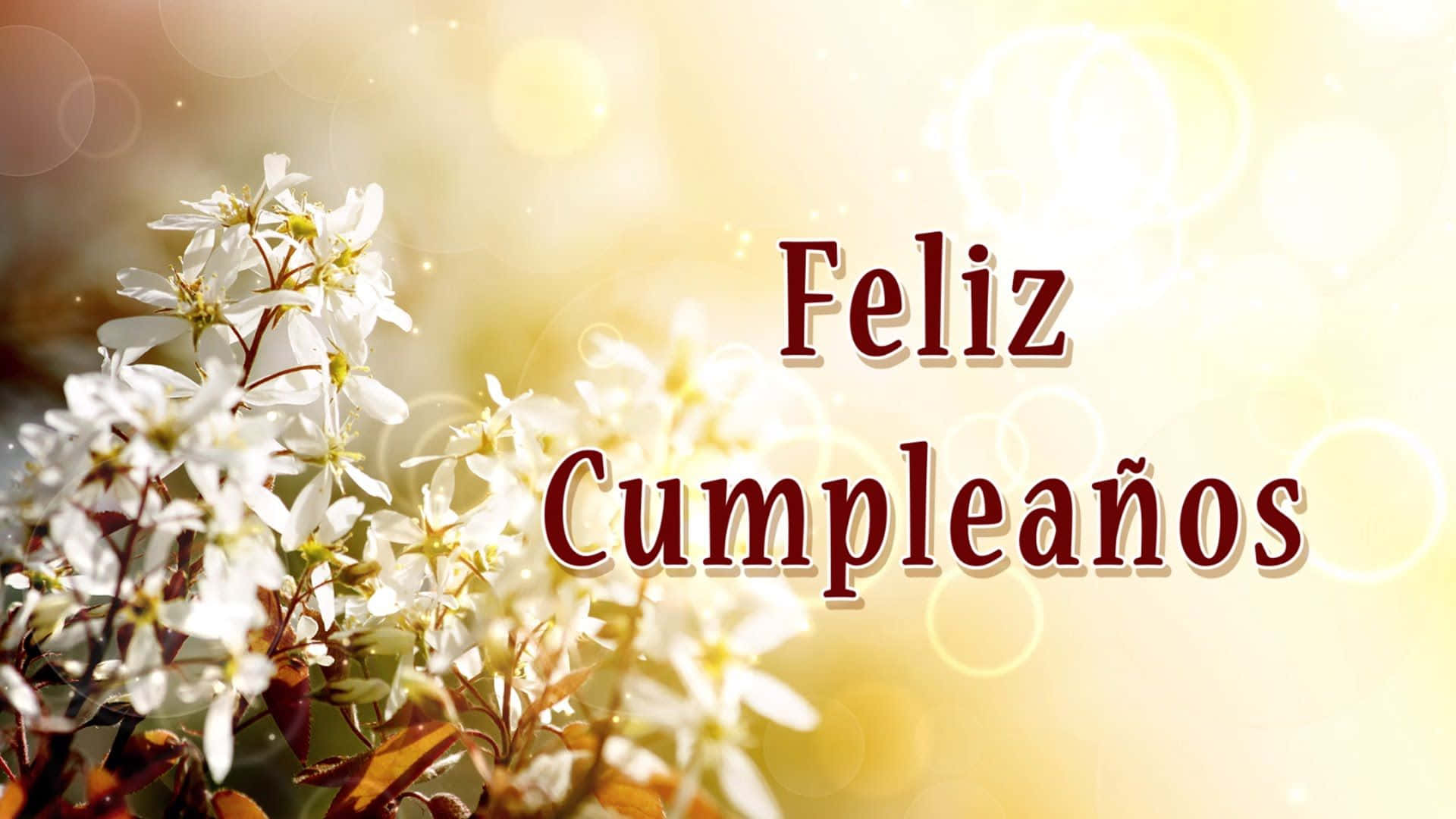 Feliz Cumpleanos Bloemgroet Achtergrond