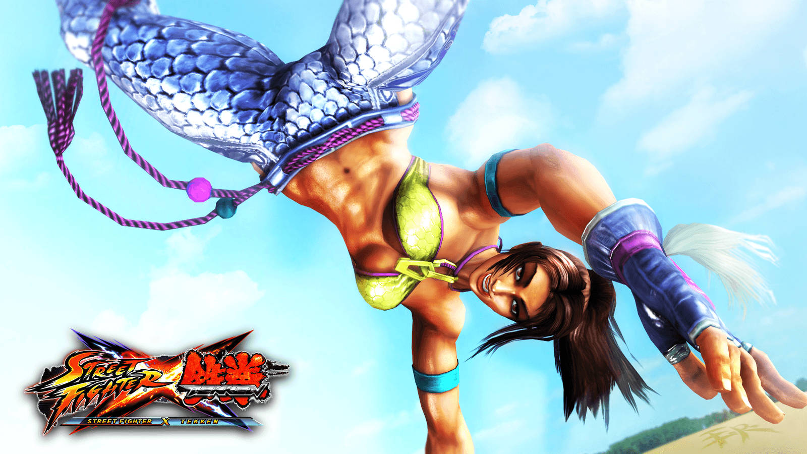 Kvinnacapoeira Fighter Från Tekken. Wallpaper