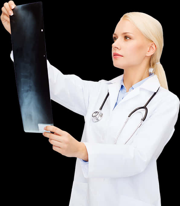 Female Doctor Examining Xray PNG