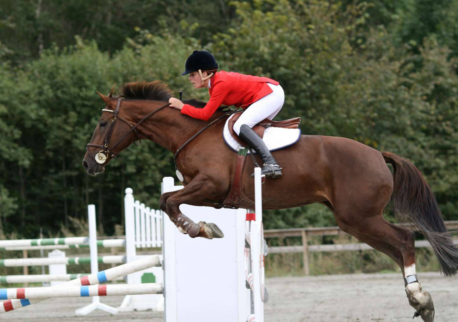 Female Equestrian Horse Jumping Competition Wallpaper