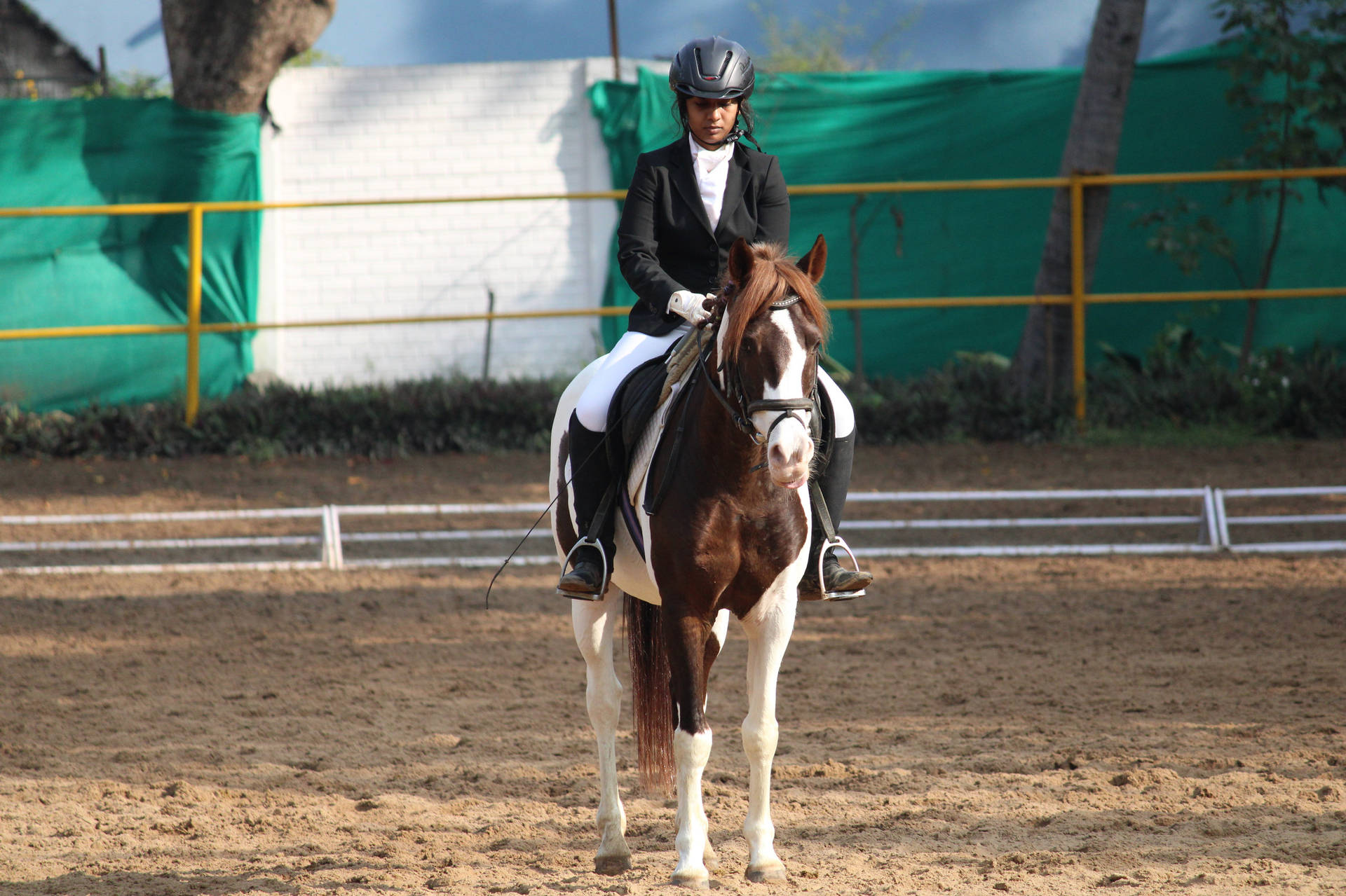 Female Equestrian Riding A Lewitz Horse Wallpaper
