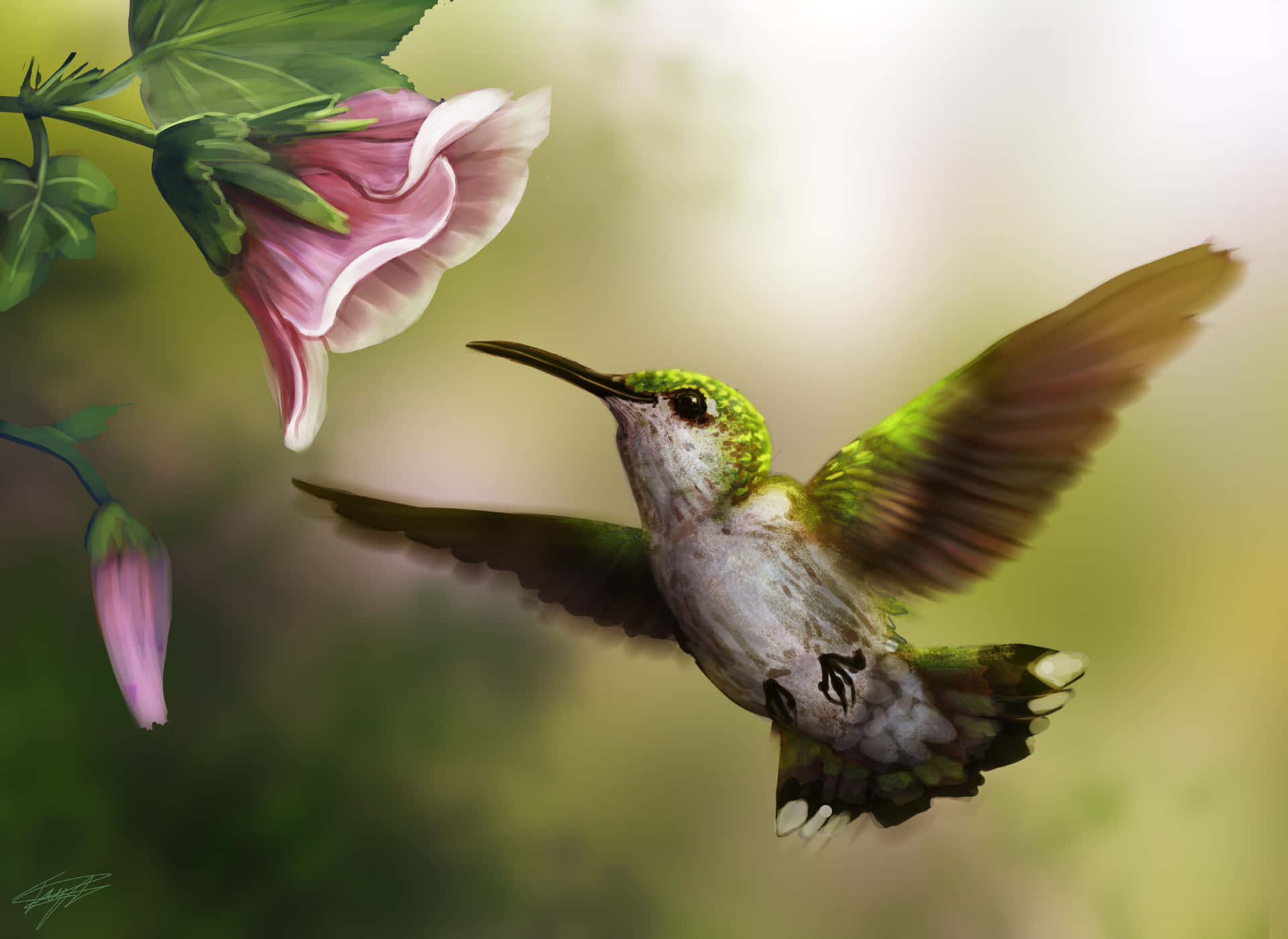 A female hummingbird takes in the sight of a beautiful sunrise
