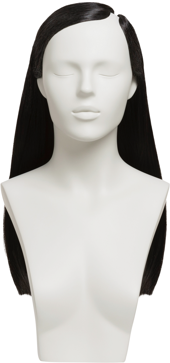 Female Mannequin Headwith Hair PNG