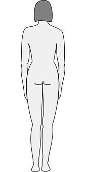 Female Silhouette Rear View PNG