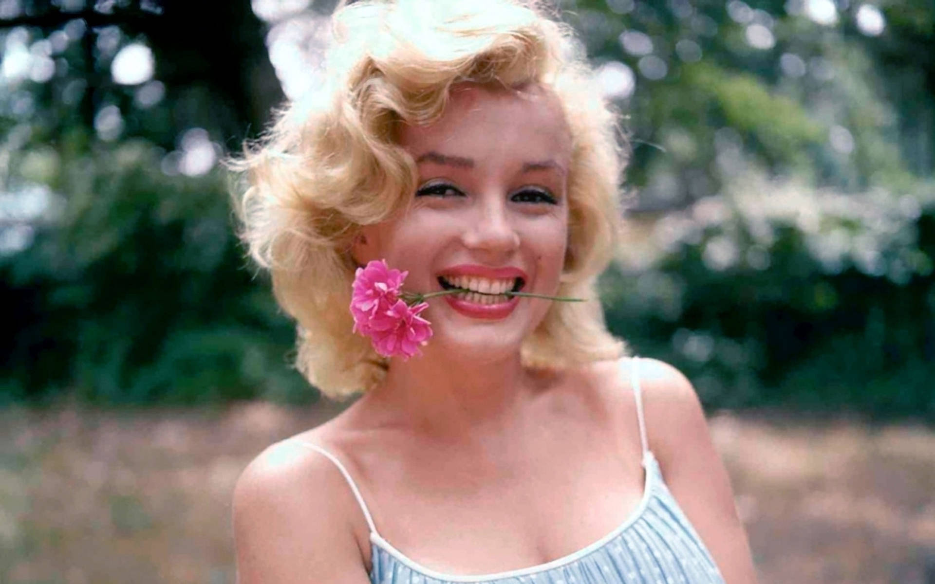 Feminine Allure Unleashed - Marilyn Monroe Wallpaper
