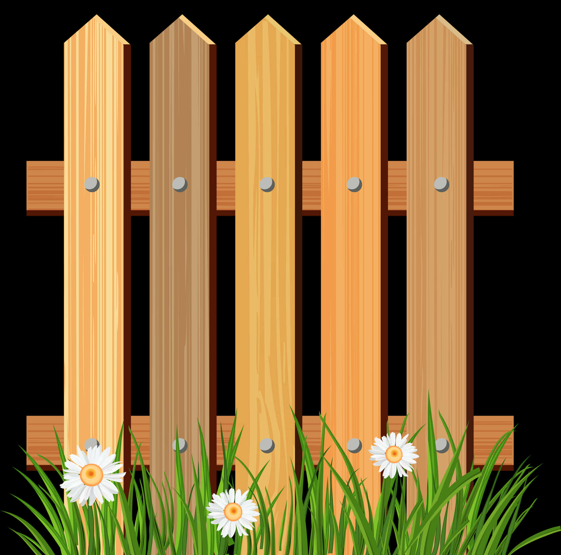 Wooden Fence With Grass And Daisies