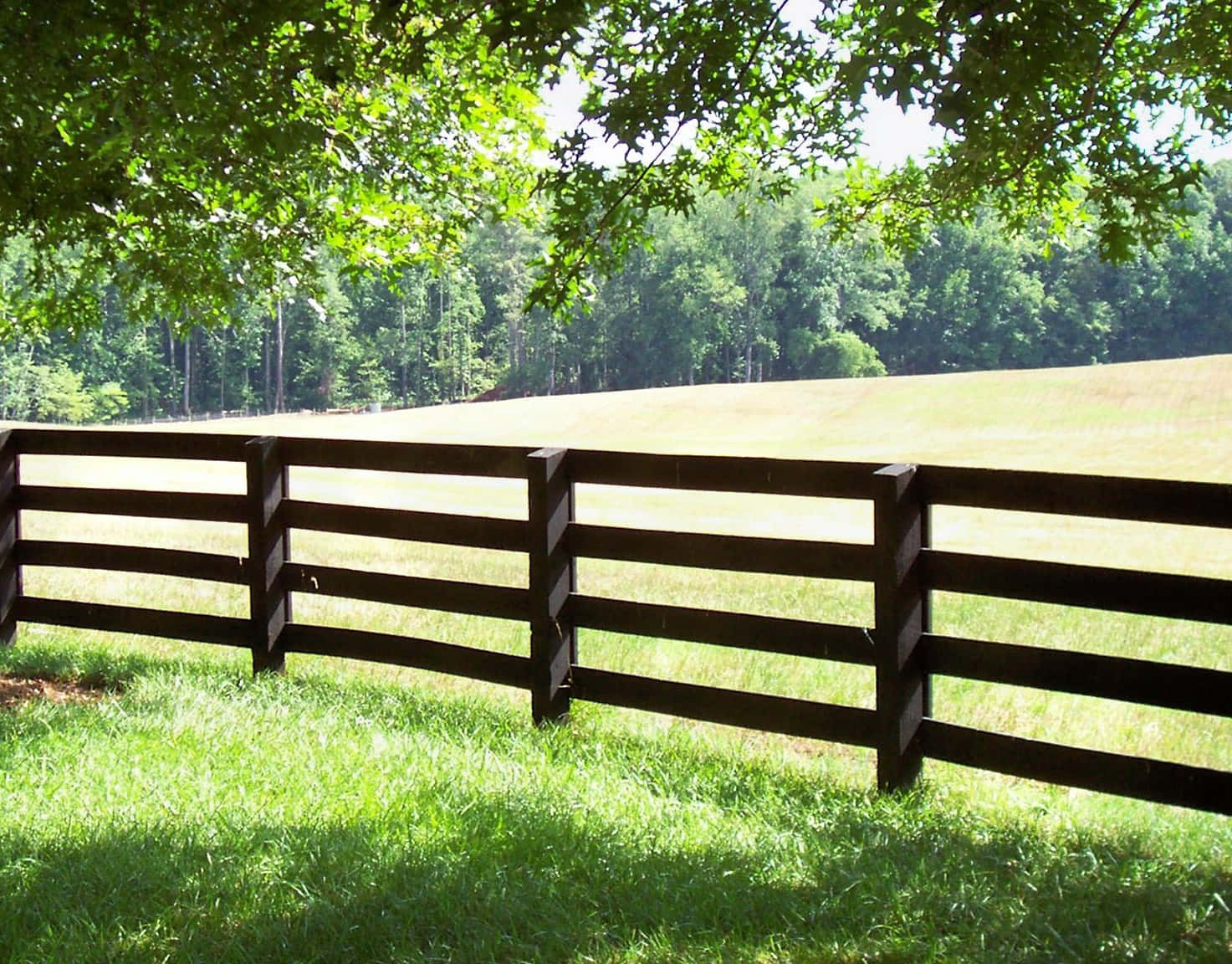 A fence stretching along a grassy field