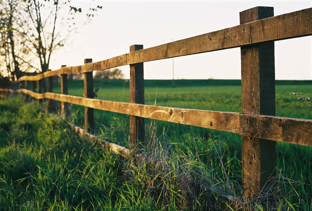 A classic wooden fence against a warm evening sky.