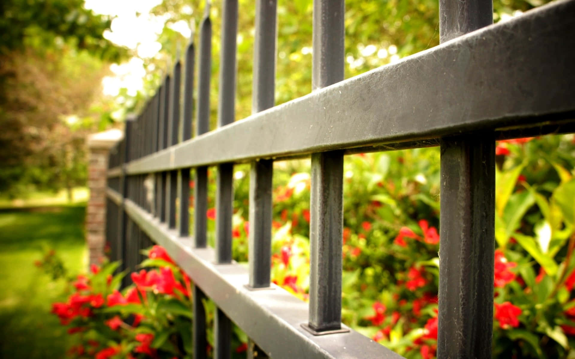 Closeup view of a brightly colored fence
