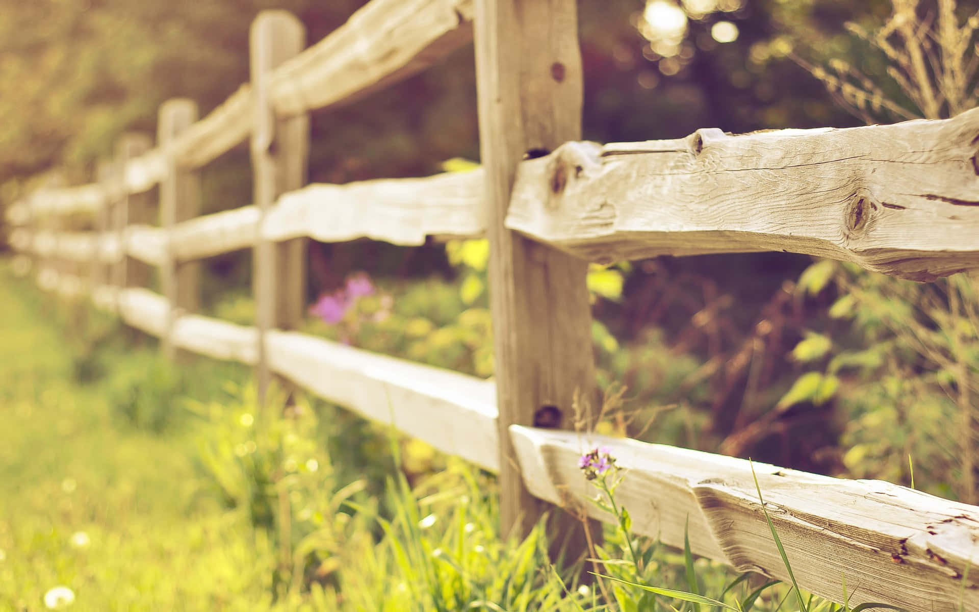 A Wooden Fence In The Grass