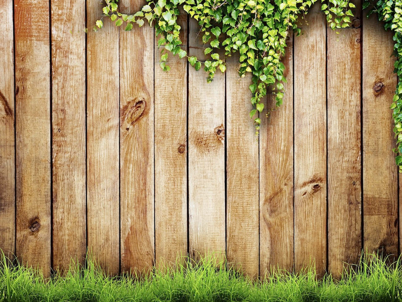 A View of an Iron Fence Standing Against a Lush Green Background