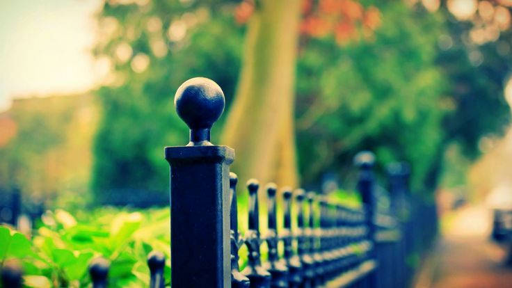 Download Fence Focus Hd Photography Wallpaper 