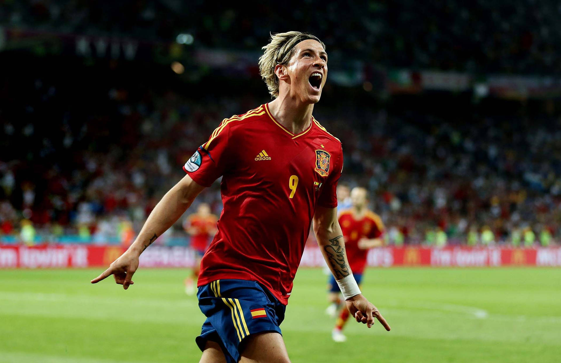 Fernando Torres In A Bright Field