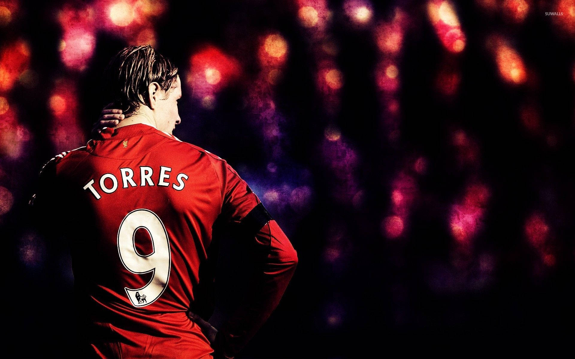 Fernando Torres Player Number 9