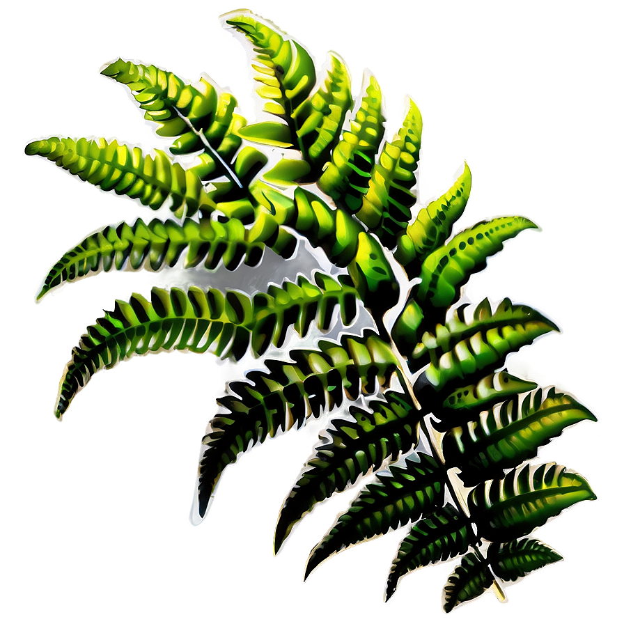 Download Ferns Plants Png 87 | Wallpapers.com