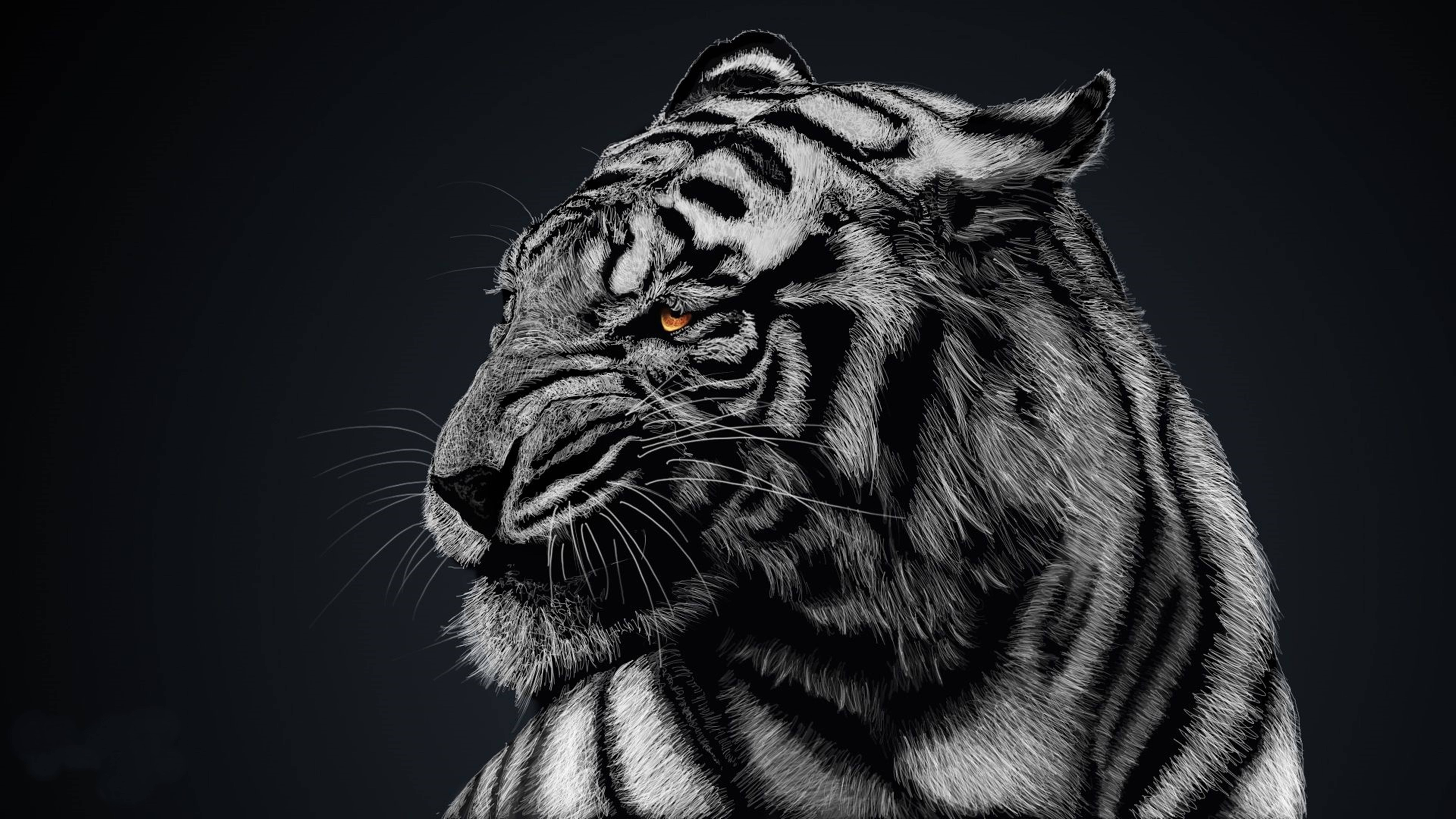 Ferocious 8k Tiger Uhd Wallpaper
