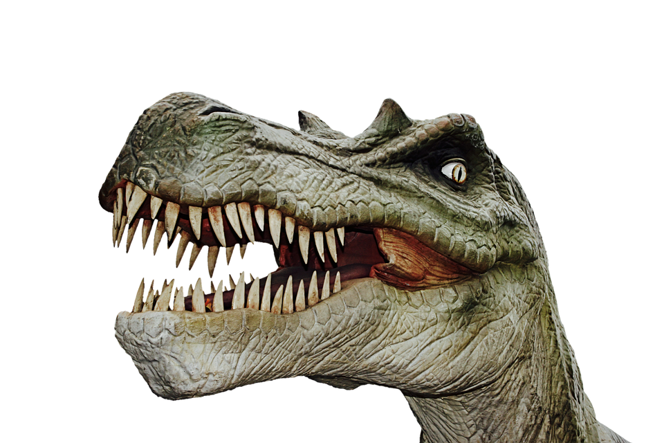 Ferocious Dinosaur Head Roar PNG