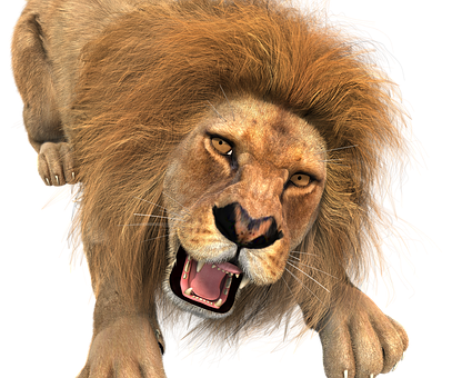 Ferocious Lion Roaring PNG