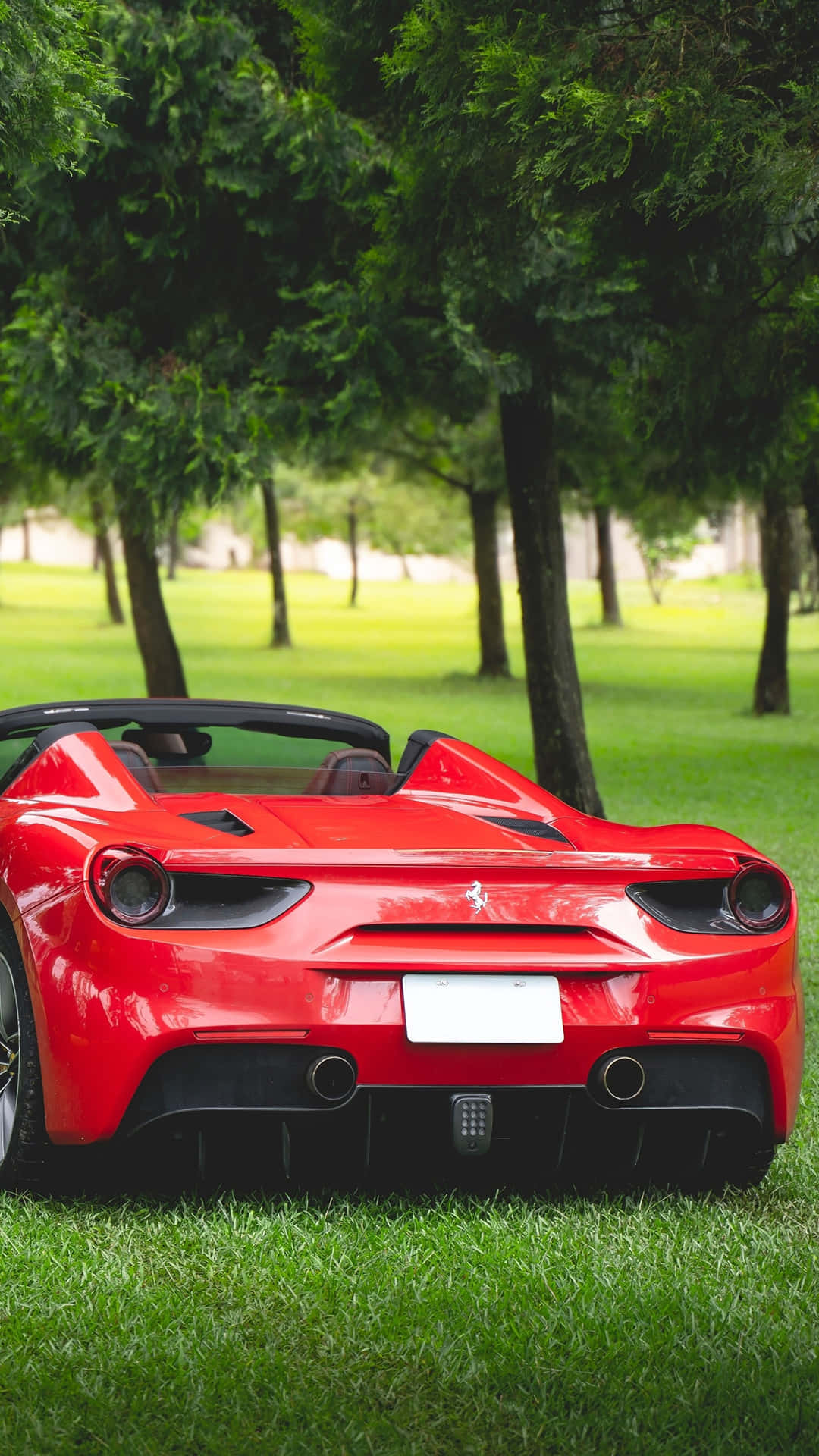 Stunning Red Ferrari 488 Spider Wallpaper