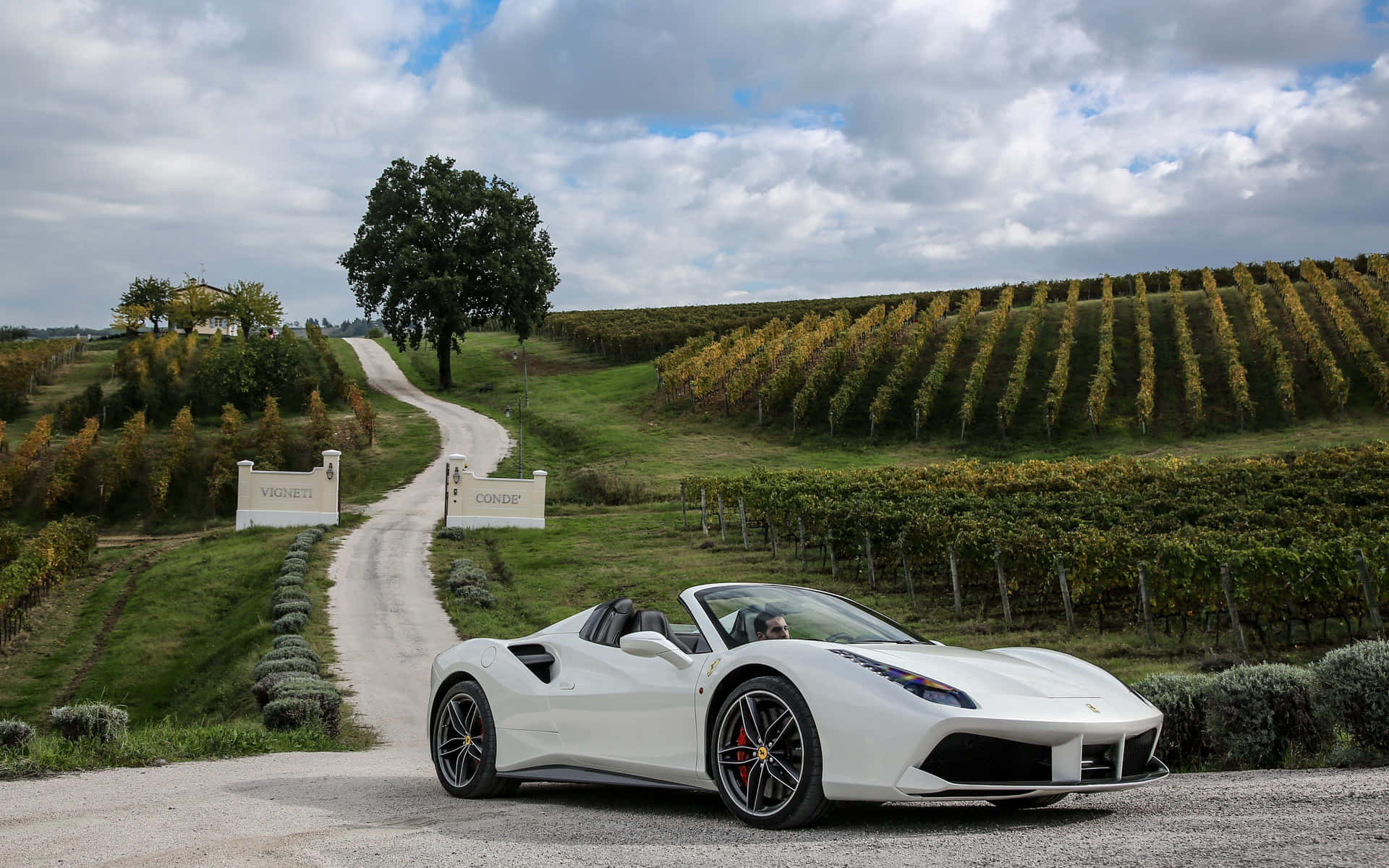 Stunning Red Ferrari 488 Spider In High Definition Wallpaper Wallpaper