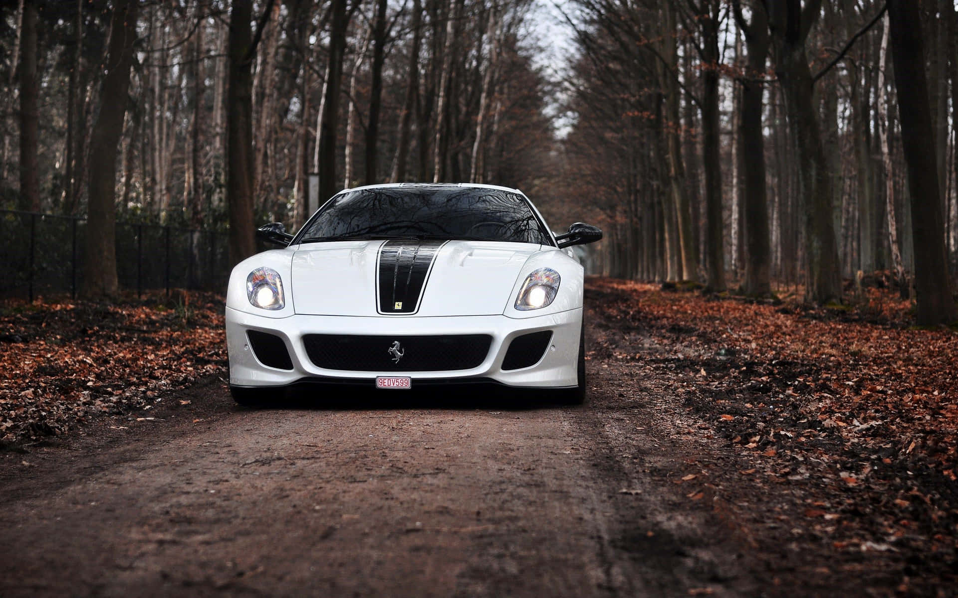 Sleek and Powerful Ferrari 599 GTB Fiorano in Action Wallpaper