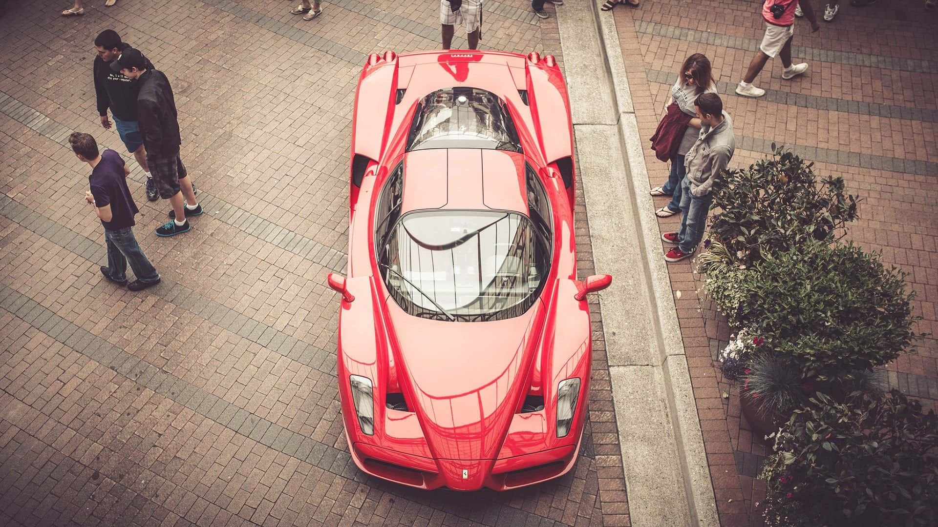 Sleek Red Ferrari Enzo Cruising On the Road Wallpaper