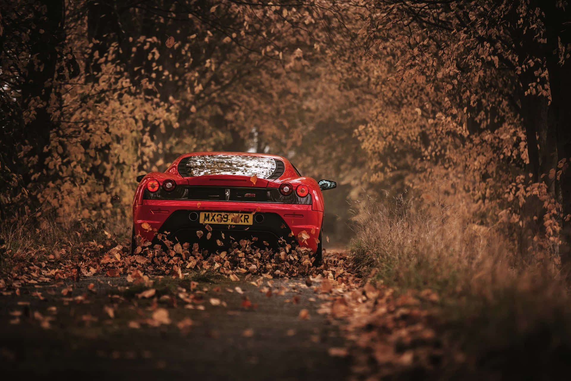 Ferrari F430: Unleash The Speed Wallpaper