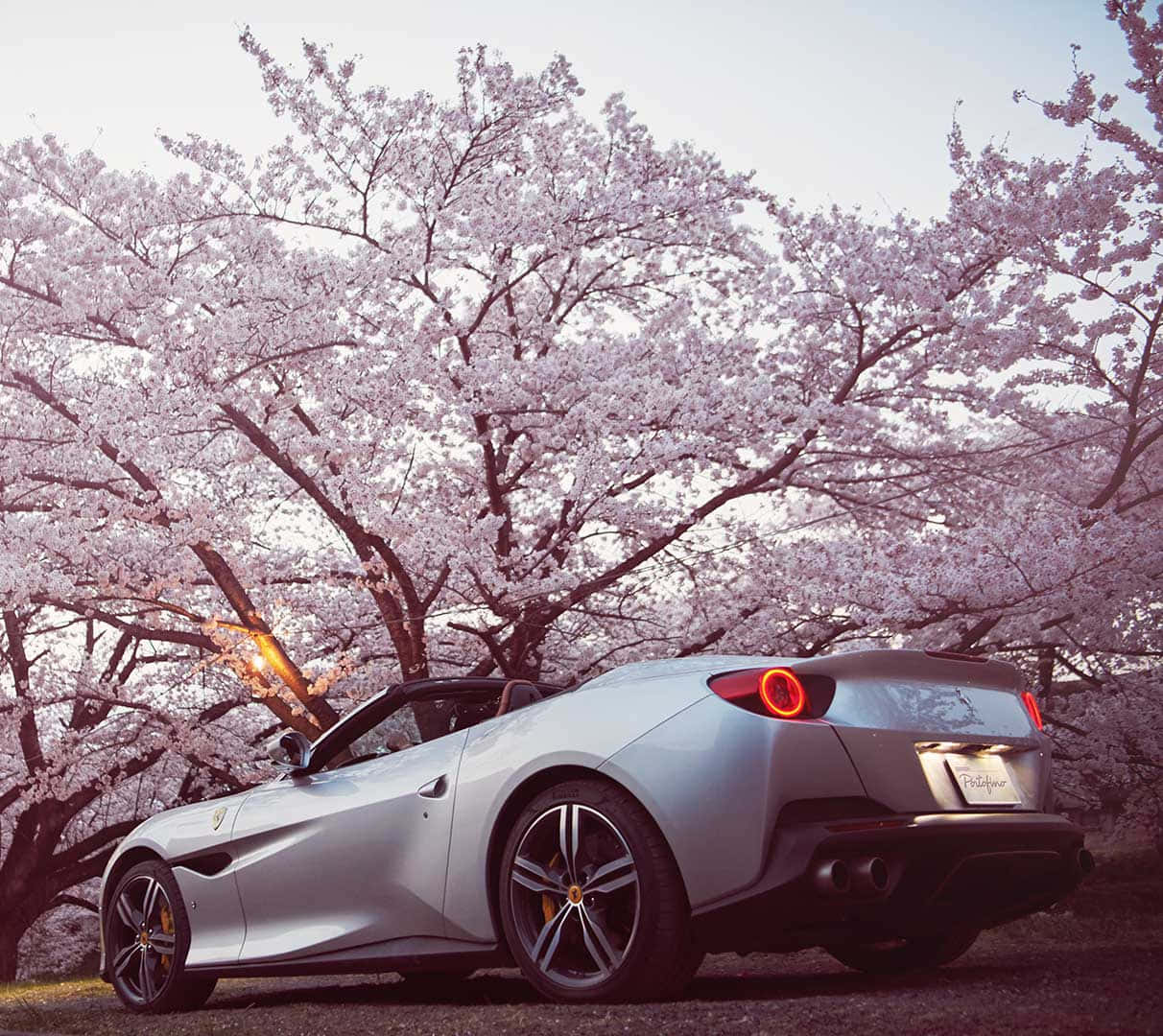 Sleek and Stylish Ferrari Portofino in Action Wallpaper