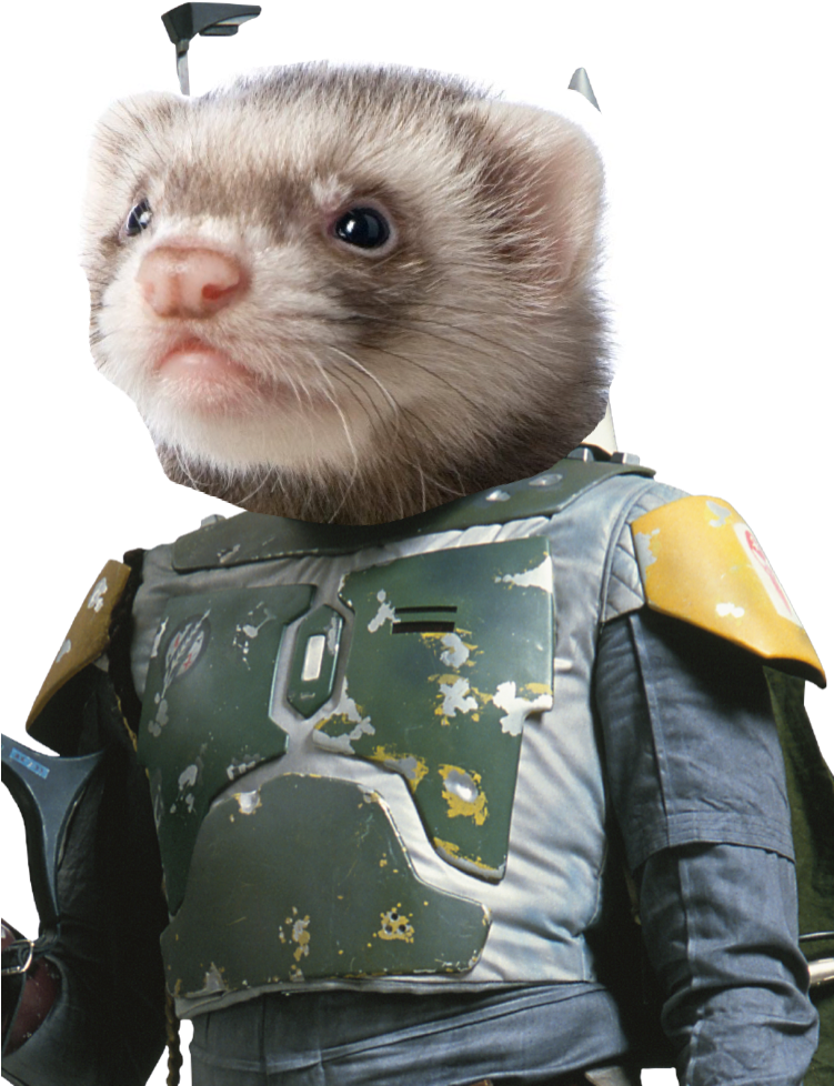 Ferret Bounty Hunter Cosplay PNG