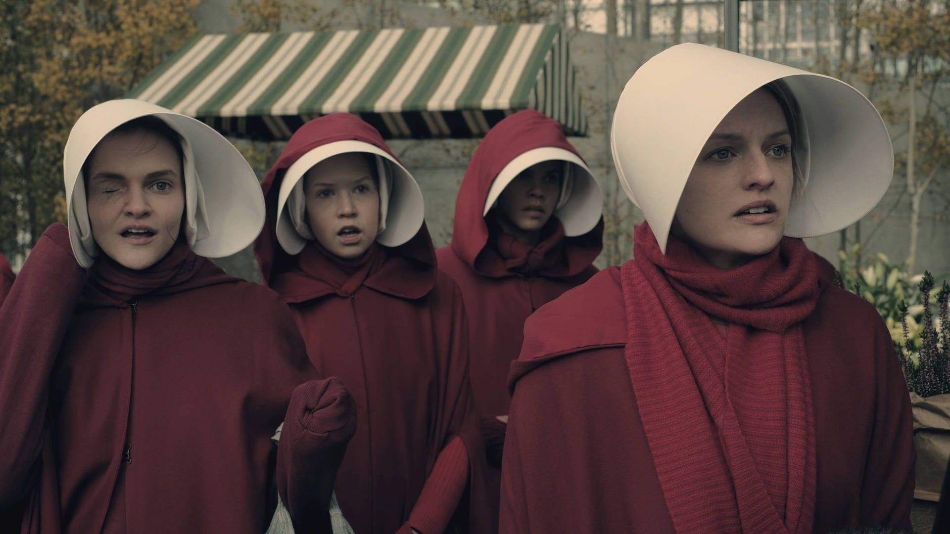 Fertility Of The Handmaid's Tale Background